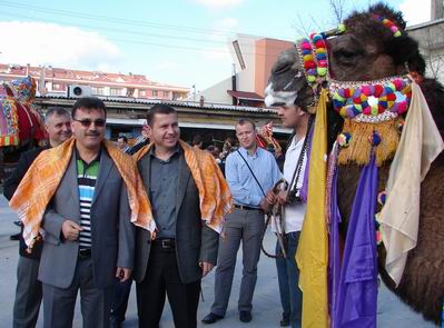  Çan Belediyesi Havut Şenliği Düzenledi 