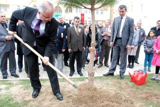  Yeşil Çanakkale İçin Fidan Diktiler 