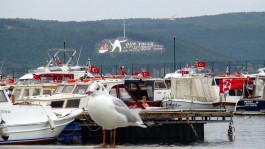 Kilitbahir'de Dağın Yamacına Yazılan 'Dur Yolcu' Yazısı