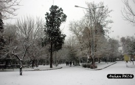 Kış Mevsiminde Çanakkale Halk Bahçesi