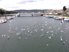 Sarıçay Üzerindeki İnönü Köprüsü