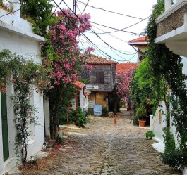 Gökçeada Zeytinli Köyü